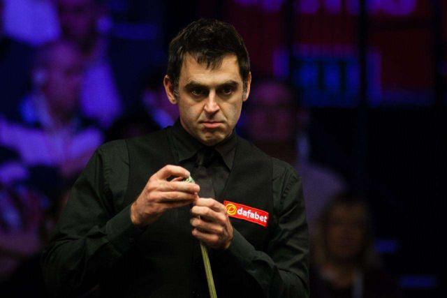 期待的崭新 期待的崭新